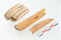 Foto von Tierknochen (NHMW-PRAE-003520)